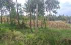 0.25 ac Land in Kamangu - 3