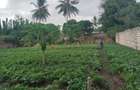 0.25 ac Land at Ls221 - 1