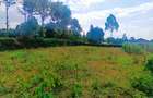 1,000 m² Residential Land at Karie - 7