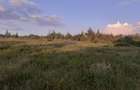 0.5 ac Residential Land in Nanyuki - 8