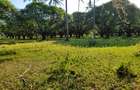 Residential Land in Nyali Area - 6