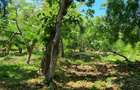 167.5 ac Land at Vipingo - 19