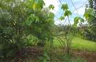 0.5 ac Land at Muthaiga North - 5