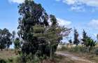 0.125 ac Residential Land at Lusigetti - 7