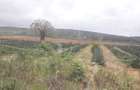 Residential Land in Vipingo - 12