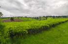 Land in Kiambu Road - 5