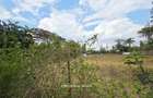 0.5 ac Land in Thome - 1