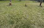 Residential Land in Kawangware - 3