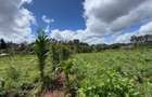0.5 ac Residential Land in Karen - 10