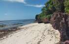 167.5 ac Land at Kuruwitu Beach - 18