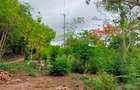 Land in Vipingo - 9