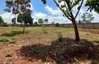 Residential Land at Flem Tree Off Ruaka Road - 19