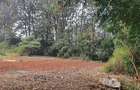 0.5 ac Residential Land at Nyari - 9