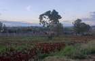 Residential Land at Ruiru Githunguri Road - 5