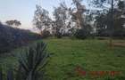 0.25 ac Residential Land at Diani Beach Road - 7