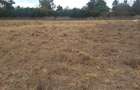 0.5 m² Residential Land in Karen - 6