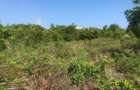 3.1 ac Land at Off Diani Link Rd - 1