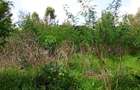 0.5 ac Residential Land in Thome - 4