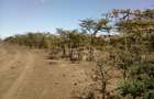 Land at Nanyuki - 7