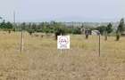 0.25 ac Land at Enkasiti - 5