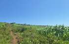 0.25 ac Residential Land at Nakuru - 6