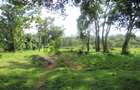 Residential Land at Ololua Ridge - 2