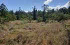 6 ac Land in Nanyuki - 3