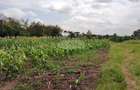 1 ac Land in Ruiru - 5