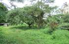 Land at East Church Rd - 6