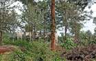 500 m² Residential Land at Oaklands - 11