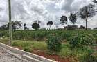 0.5 ac Land at Runda - 11