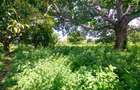 Residential Land in Vipingo - 20