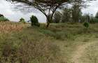 Land in Ngong - 5