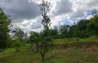 450 ha Residential Land at Sucess Garden Kenol Makuyu - 7
