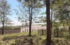 Residential Land in Ruiru - 1