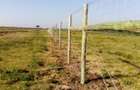 57 ac Land in Nanyuki - 13