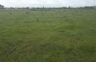 0.1 ac Residential Land in Ongata Rongai - 4