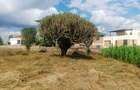 1,000 m² Residential Land at Riu-Nderi - 2