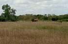 Land in Machakos County - 6