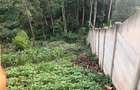 Land in Spring Valley - 1