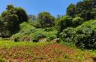 Land in Kitisuru - 5