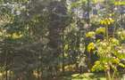 Residential Land at Kyuna - 3