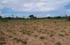 13 ac Land at Majaoni - 8