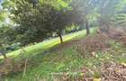 1 ac Land in Runda - 1