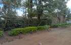 Commercial Property at Kiamumbi Estate - 2