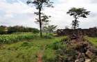 1 ac Land in Ruiru - 3