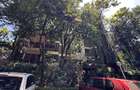 Serviced 1 Bed Apartment with Parking in Westlands Area - 11