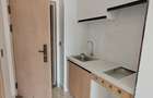 Studio Apartment with En Suite in Ruiru - 5
