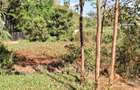 3 ac Land at Limuru Road - 4