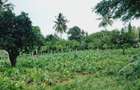 1 ac Land in Mtwapa - 1